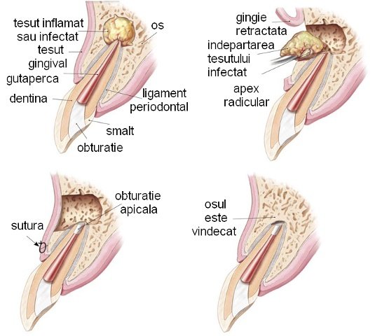 Phoenicia - clinica stomatologica